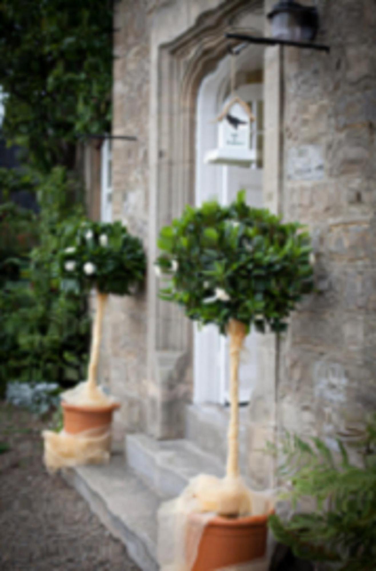 Low Gingerfield Farm B&B Richmond  Dış mekan fotoğraf